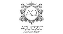 Aquiesse