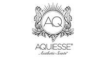 Aquiesse