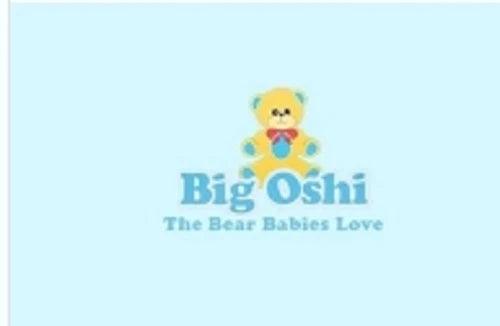 BIG OSHI BLANKET - A Secret  Admirer