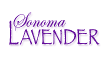Sonoma Lavender