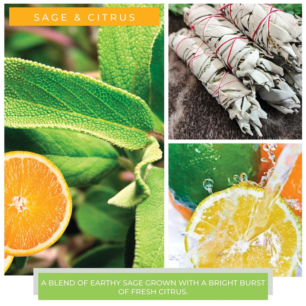 A Cheerful Giver Sage and Citrus - Room Air Infuser - A Secret Admirer