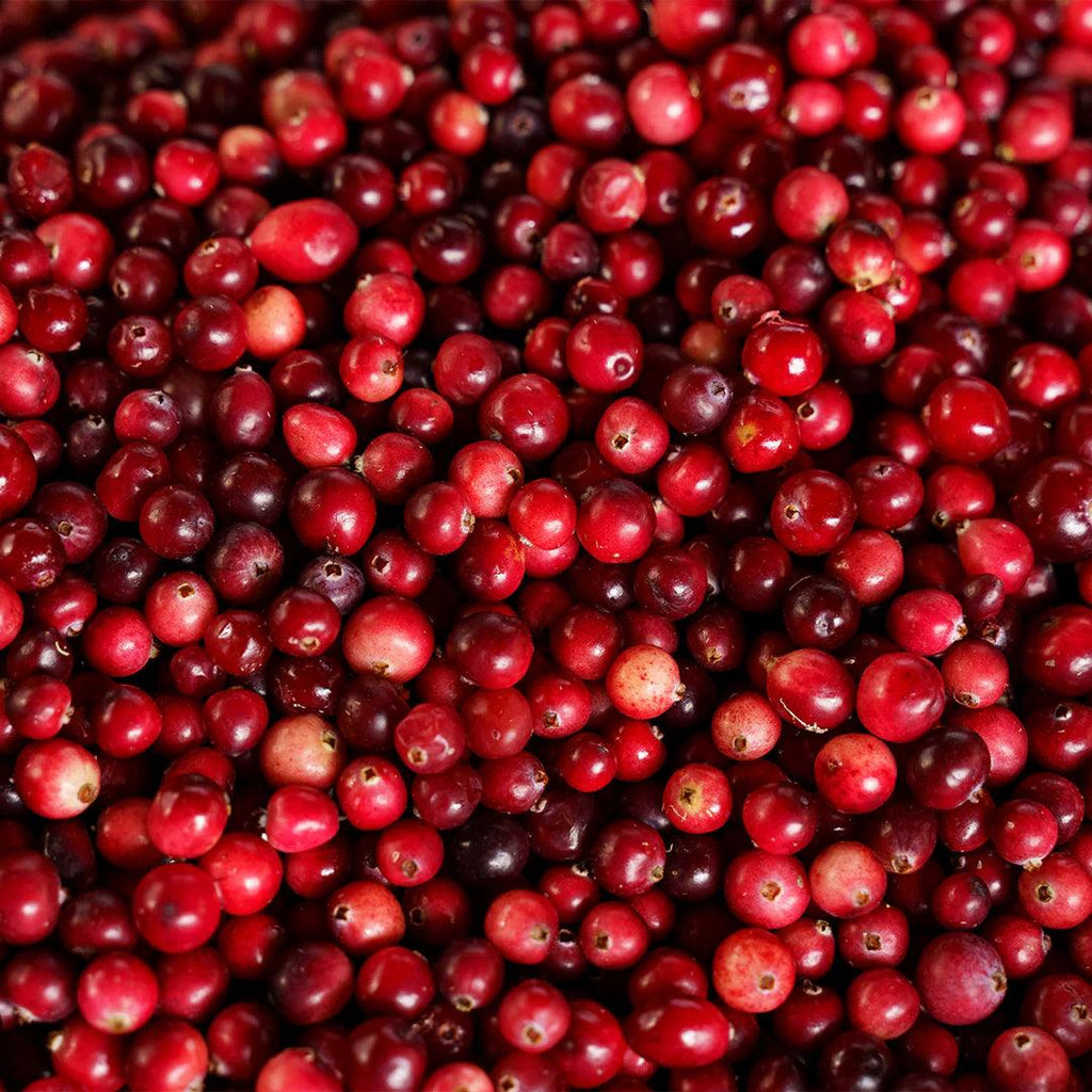 Archipelago Cranberry St. Germain Reed Diffuser - A Secret Admirer