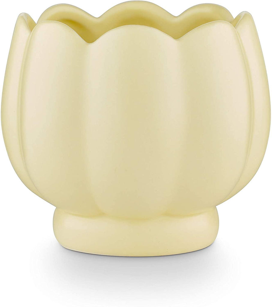 Illume Tried and True Coconut Bloom Petal Ceramic Candle 7.8Oz - A Secret Admirer