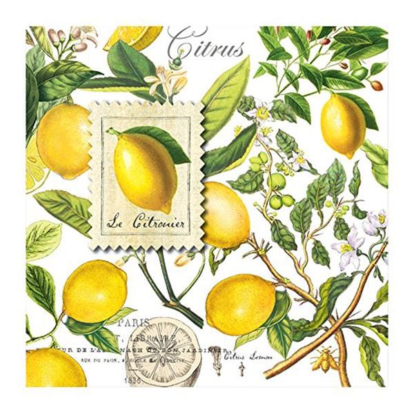 Michel Design Works Lemon Basil Cocktail Napkin - A Secret Admirer