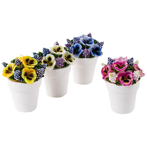 One Hundreds Eighty Degree Potted Flower Candle 4.75 inch with Cello Bag - Assorted Color - A Secret Admirer