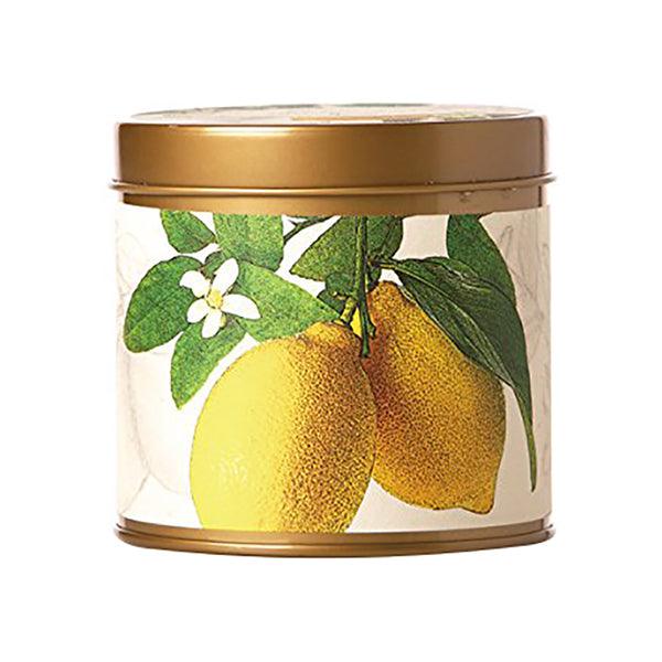 Rosy Rings Citrus Lemon Blossom & Lychee Soy Tin Candle 8oz - A Secret Admirer